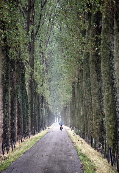 Radfahrer · Cyclist