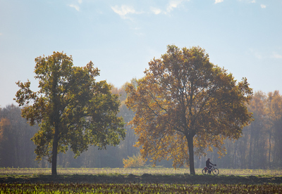 Radfahrer · Cyclist